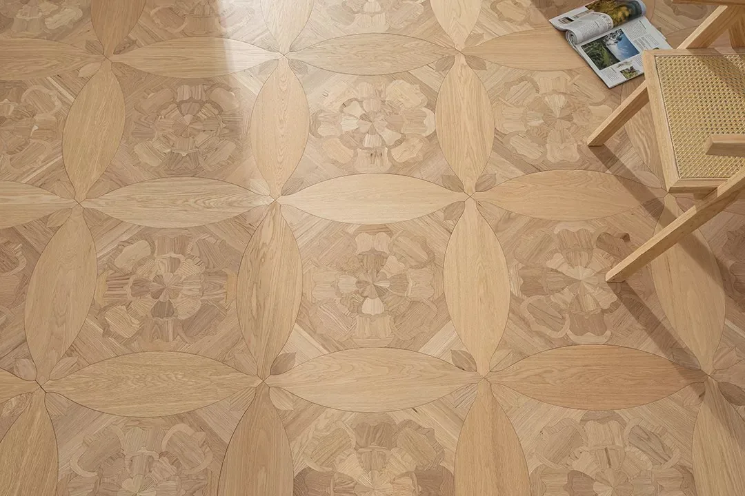 Stella, imaginea 6